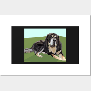 Tibetan Mastiff Big Fluffy Dog Posters and Art